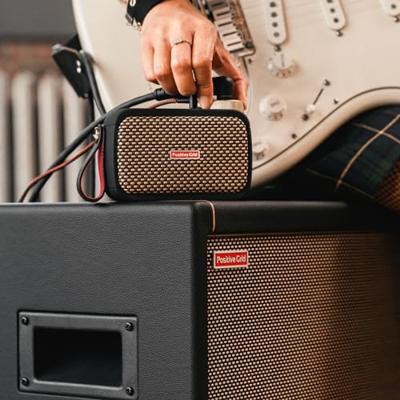 Positive Grid Spark Cab