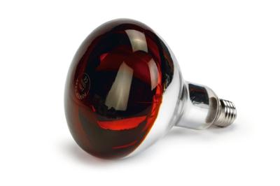 Infrarood warmtelamp r125 150w Beeztees - Beeztees Infrarood warmtelamp r125 150w Beeztees - Beeztees