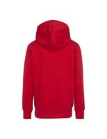 Sweater met capuchon Core CONERSE rood - thumbnail