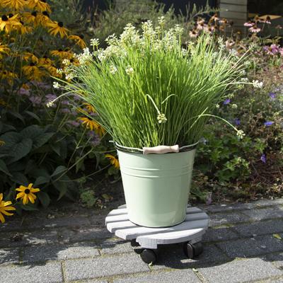 Esschert Design Houten Planttrolley 28.4 cm Grijs Esschert Design Houten Planttrolley 28.4 cm Grijs