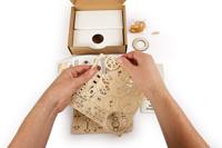 Ugears Houten Modelbouw - STEM LAB Slinger - thumbnail