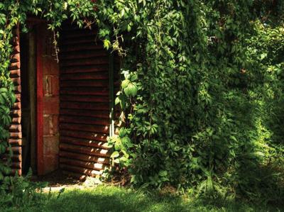 Verborgen deur 70x50cm Tuinschilderij Customize-it - Customize it