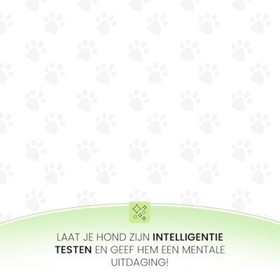 Eat Slow Live Longer Puzzle Circle