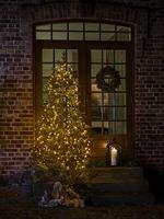 Konstsmide 6662-830 Kerstboomverlichting Buiten Energielabel: E (A - G) werkt op het lichtnet Aantal lampen 450 LED Barnsteen - thumbnail