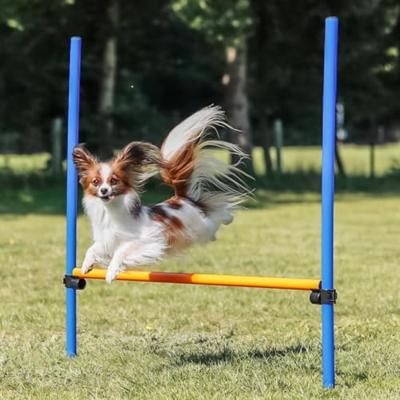Trainingsspeelgoed Trixie