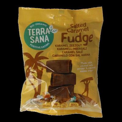 TerraSana Salted Caramel Fudge
