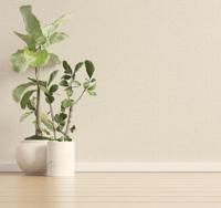 Dutch Wallcoverings Eleganza - Tessuto Plain Dove - Beige - thumbnail