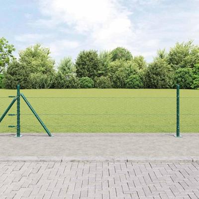 VidaXL Afrasteringspaal groen 10 x 0,5 m (25 mm gaas) staal en pvc