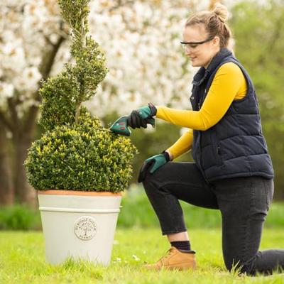 Bosch Groen Isio Accugrasschaar | 3,6 V | 8 cm + 12 cm messenset | In doos 0600833108 - thumbnail