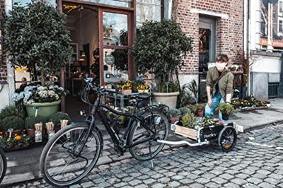 Burley Fietskar flatbed