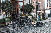 Burley Fietskar flatbed - thumbnail