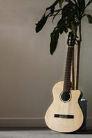 Cordoba Fusion 5 - thumbnail