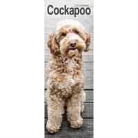 Cockapoo Slim Calendar 2026 Dog Breed Slimline Calendar - 12 Month - thumbnail
