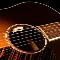 LR Baggs Anthem SL akoestische gitaar voorversterking - thumbnail