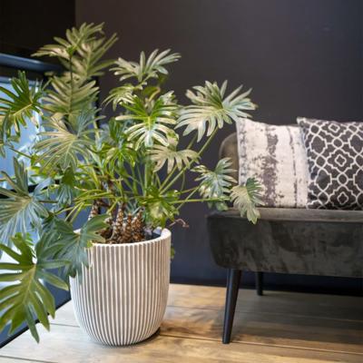 Capi nature groove nl bol bloempot 35x34 cm ivoor