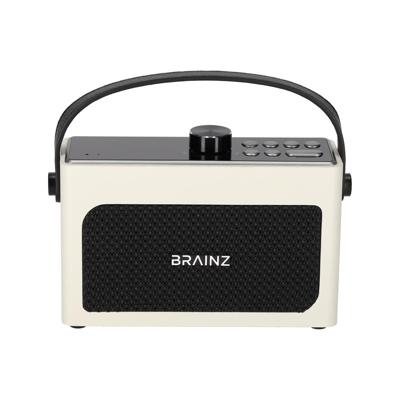 Brainz - Retro Clock Speaker