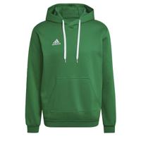 adidas Entrada 22 Sweat Hoodie Groen - thumbnail