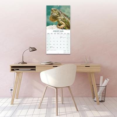 Hagedissen Kalender 2026