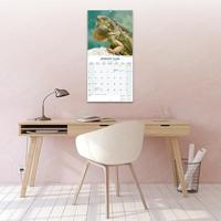 Hagedissen Kalender 2026 - thumbnail