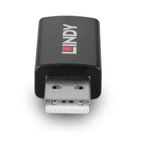 Lindy USB 2.0 Type A naar A Data Blocker met Batterij Opladen 1.2 - thumbnail