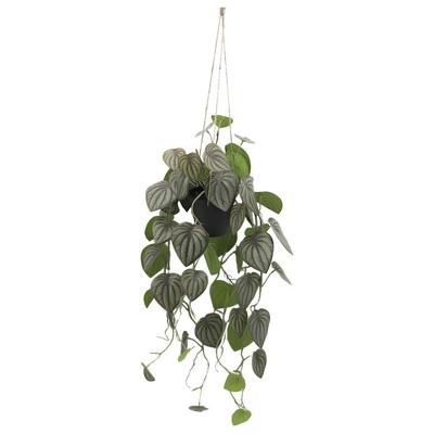 Peperomia melon hang 90 cm kunstplant Buitengewoon de Boet - Buitengewoon de boet