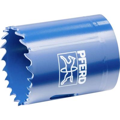 PFERD TOOLS LS 41 41 mm 1 5/8 25101241 Gatenzaag 41 mm 1 stuk(s) PFERD TOOLS LS 41 41 mm 1 5/8 25101241 Gatenzaag 41 mm 1 stuk(s)