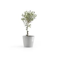 Ecopots Amsterdam kunststof bloempot Grijs/Wit - Ø 18 cm - thumbnail