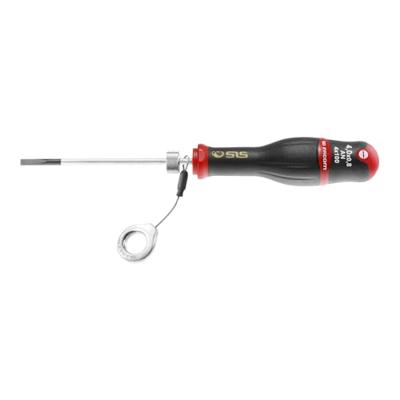 Facom sls sleufschroevendraaier 3x100 - AN3X100SLS