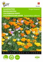 Eschscholtzia, Slaapmutsje enkelbloemig gemengd - thumbnail