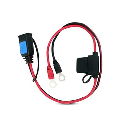 Victron Energy M6 Kabelschuh-Steckverbinder Victron (mit 30A ATO-Sicherung) Aansluitkabel