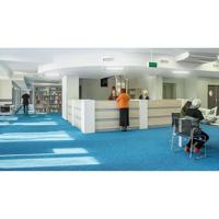 Signify 48676800 Gloeilamp-lamp Energielabel E (A - G) 2G11 Buis 8 W Warmwit (Ø x l) 38 mm x 224 mm 1 stuk(s) - thumbnail