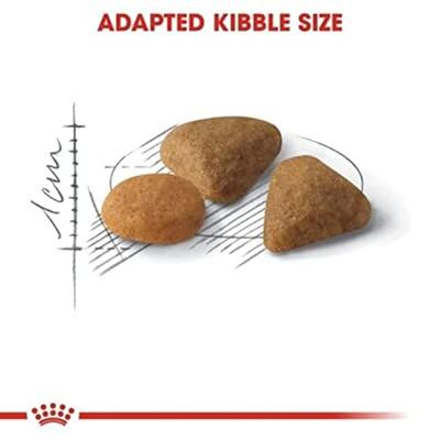 Royal Canin Savour Exigent kattenvoer 2 kg - thumbnail