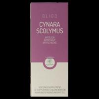 RP Vitamino Analytic Oligoplant Cynara Scolymus Druppels - thumbnail