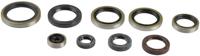 ATHENA motor-keerring set motorshield sx 250/300 mxc/250-300exc - thumbnail