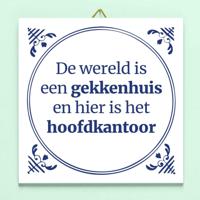 Tegeltje De wereld is een gekkenhuis - thumbnail