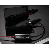 Dante Avio Analog Input 1x0 XLR - Dante adapter - thumbnail