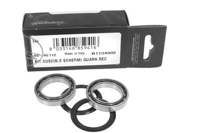 Campagnolo bearings and sealing