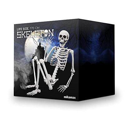 Human Size Skelet 170cm - Levensecht - Buigbaar - ABS - Halloween Decoratie - thumbnail