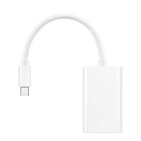 PureLink iSeries IS030 Mini DP + Thunderbolt naar VGA Adapter Wit - thumbnail