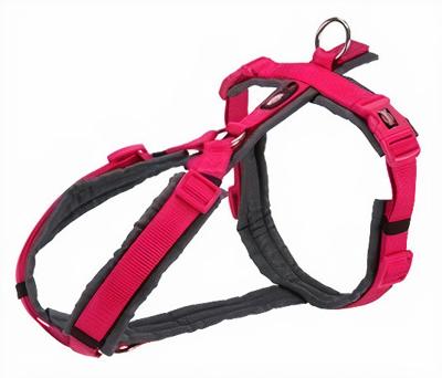 TRIXIE HONDENTUIG PREMIUM TREKKING FUCHSIA / GRIJS 36-44X1,5 CM TRIXIE HONDENTUIG PREMIUM TREKKING FUCHSIA / GRIJS 36-44X1,5 CM