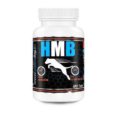GAME DOG HMB - supplementen voor honden - 120 tabletten