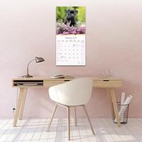 Staffordshire Bull Terrier Kalender 2026 - thumbnail