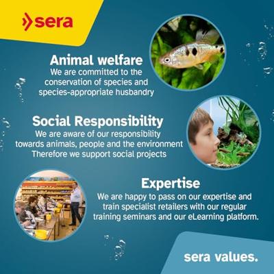 Sera Wels-Chips Nature 250ml - Natuurvoer voor Bodemvissen, Zonder Kunstmatige Additieven