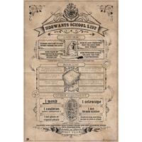 Poster Harry Potter - Hogwarts School List 61x91,5cm - thumbnail