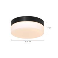 Steinhauer Badkamer plafondlampIkaro Ø 18cm - 1362ZW - thumbnail