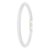 LEDVANCE LED-buis-Buis Energielabel: D (A - G) T5 11.6 W Neutraalwit 1 stuk(s) (Ø x l) 16.50 mm x 225.00 mm - thumbnail