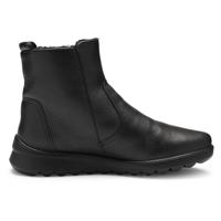 Ara 1240413 - alle - thumbnail