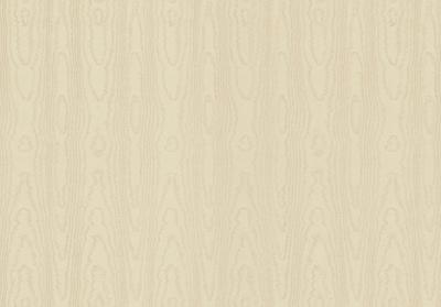 Dutch FC New Tekko schors beige - 20036