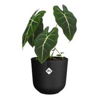 Jazz rond 26cm living black bloempot elho - Elho - thumbnail