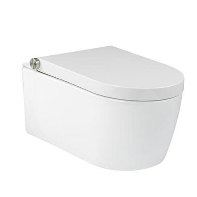 Douche WC RapoWash Bold 0.9L Met Afstandsbediening Wit - DWC-004 RapoWash
